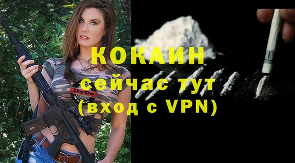 дживик Верея