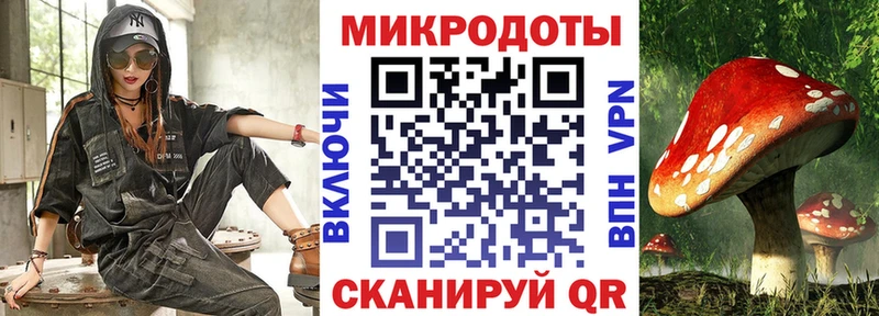 Псилоцибиновые грибы Psilocybine cubensis  купить   Новосокольники 