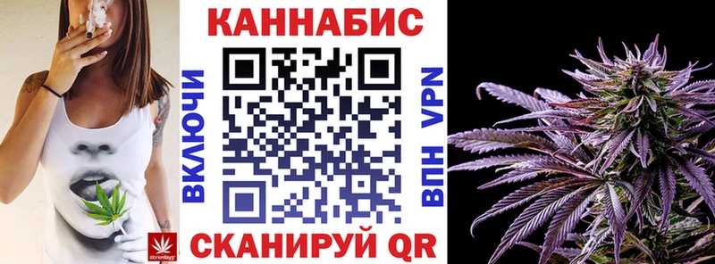 где продают наркотики  Новосокольники  Конопля White Widow 